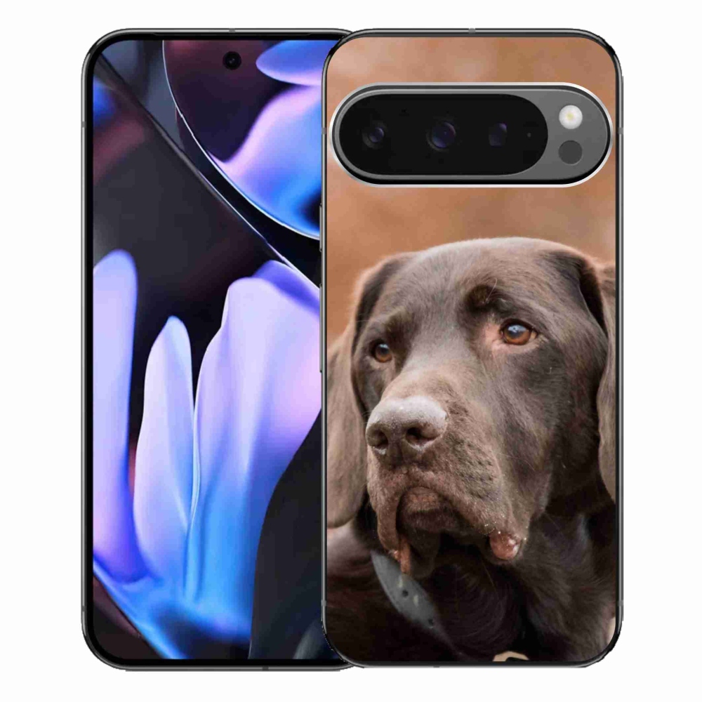 Gelový obal mmCase na Google Pixel 9 Pro XL - hnědý labrador