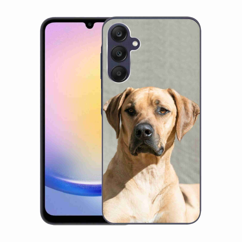 Gelový kryt mmCase na Samsung Galaxy A25 5G - ridgeback
