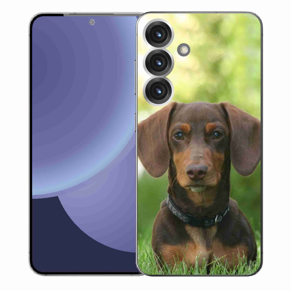 Gelový kryt mmCase na Samsung Galaxy S25+ - hnědý jezevčík