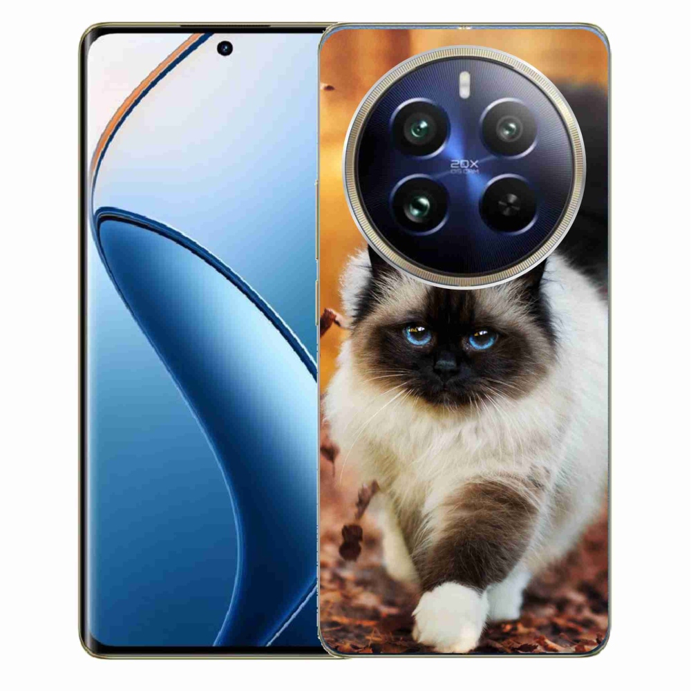 Gelový obal mmCase na Realme 12 Pro 5G/12 Pro+ 5G - kočka