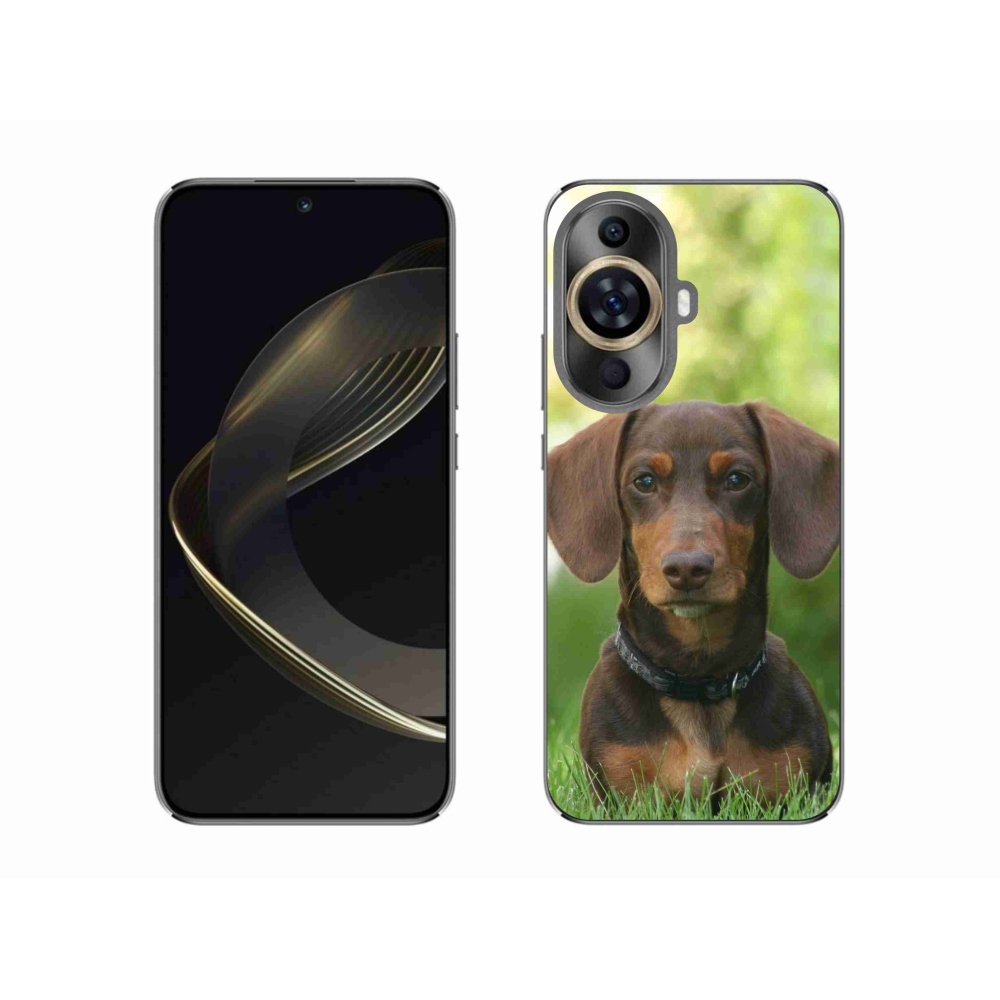 Gelový obal mmCase na Huawei Nova 11 - hnědý jezevčík