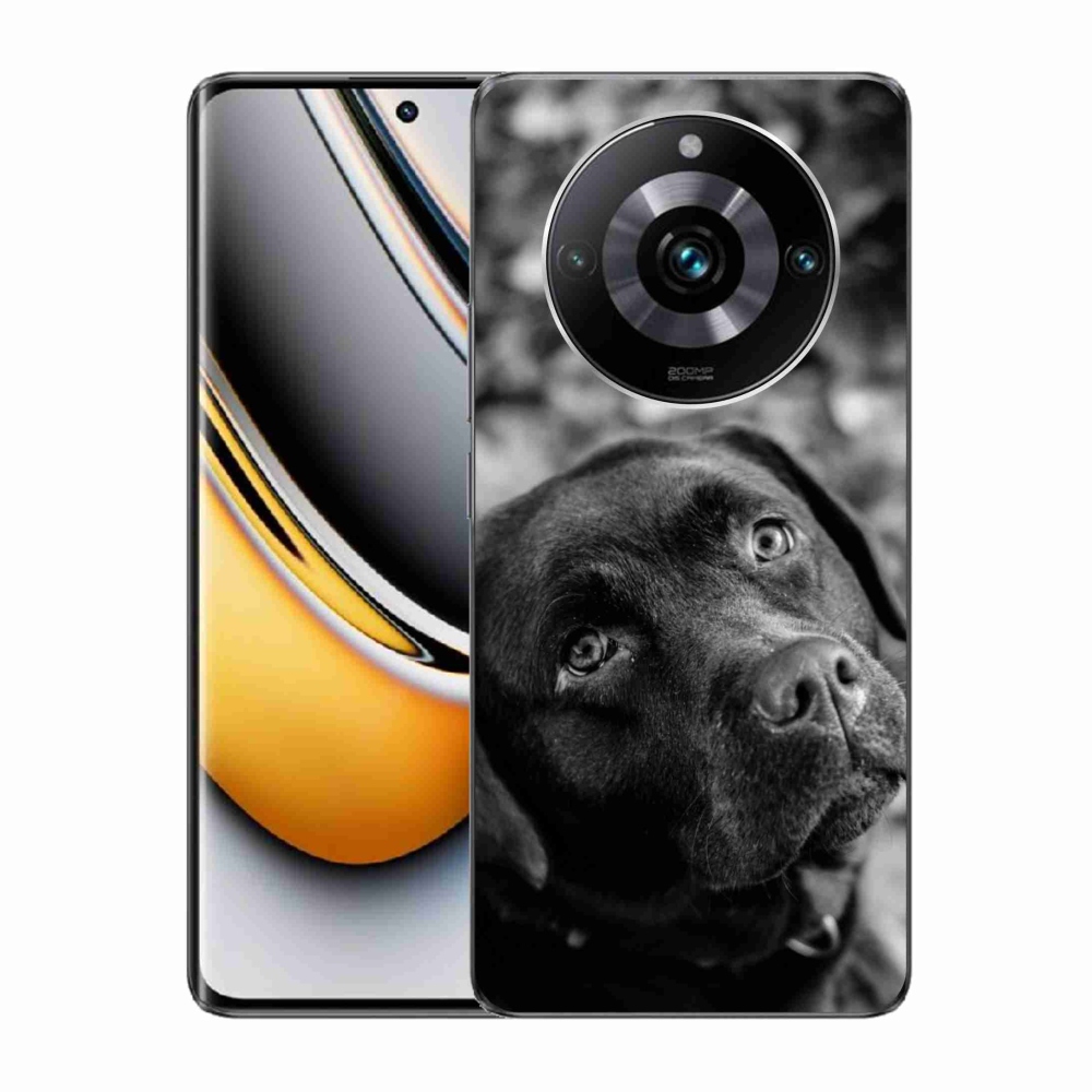 Gelový obal mmCase na Realme 11 Pro/11 Pro+ - labrador
