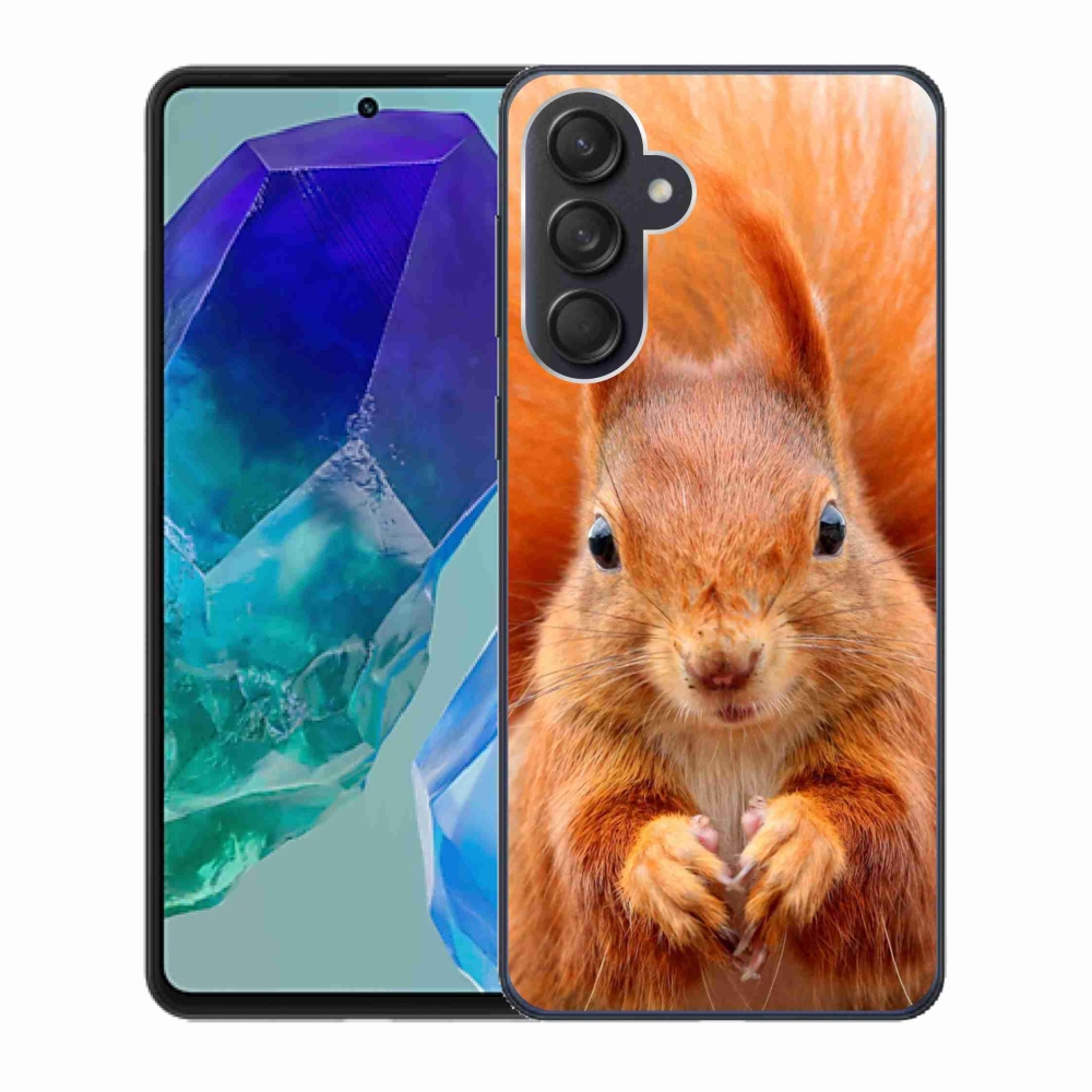 Gelový kryt mmCase na Samsung Galaxy M55 5G - veverka