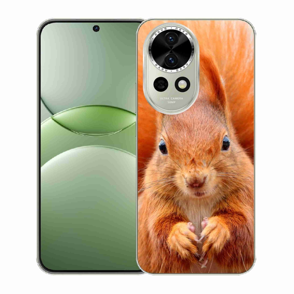 Gelový kryt mmCase na Huawei Nova 13 5G - veverka