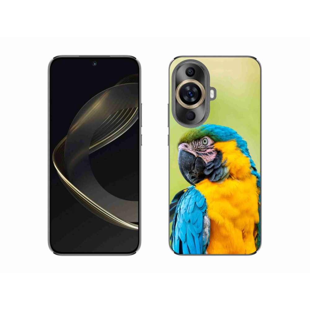 Gelový obal mmCase na Huawei Nova 11 - papoušek ara 2