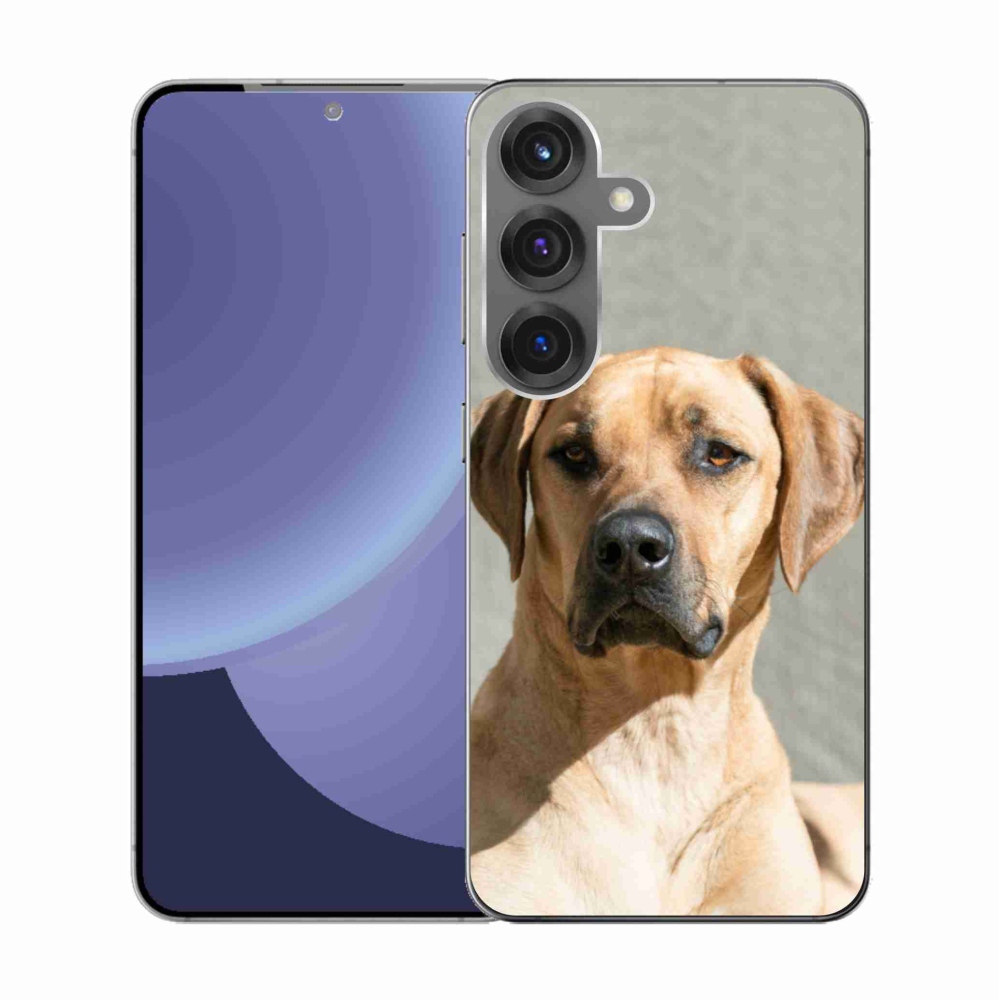 Gelový kryt mmCase na Samsung Galaxy S25 - ridgeback