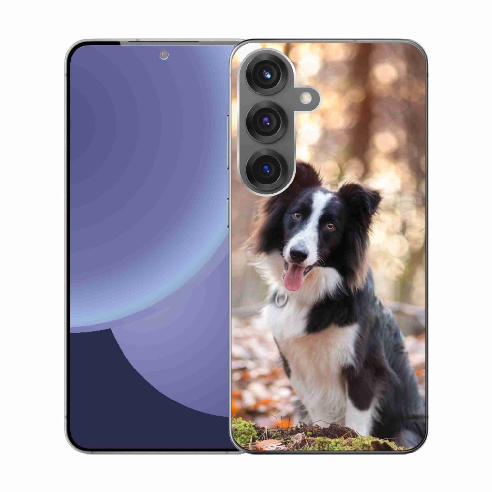 Gelový kryt mmCase na Samsung Galaxy S25 - border kolie 1