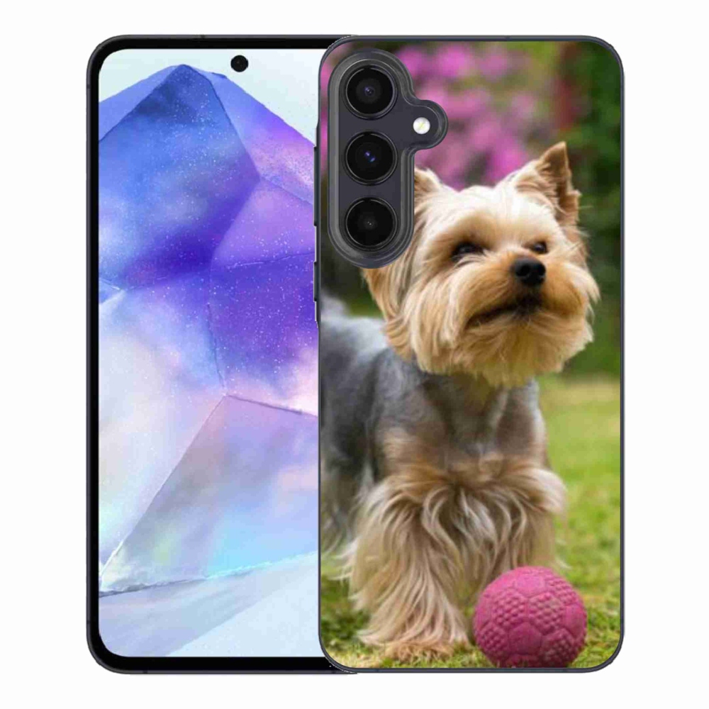 Gelový obal mmCase na Samsung Galaxy A55 5G - jorkšír 4