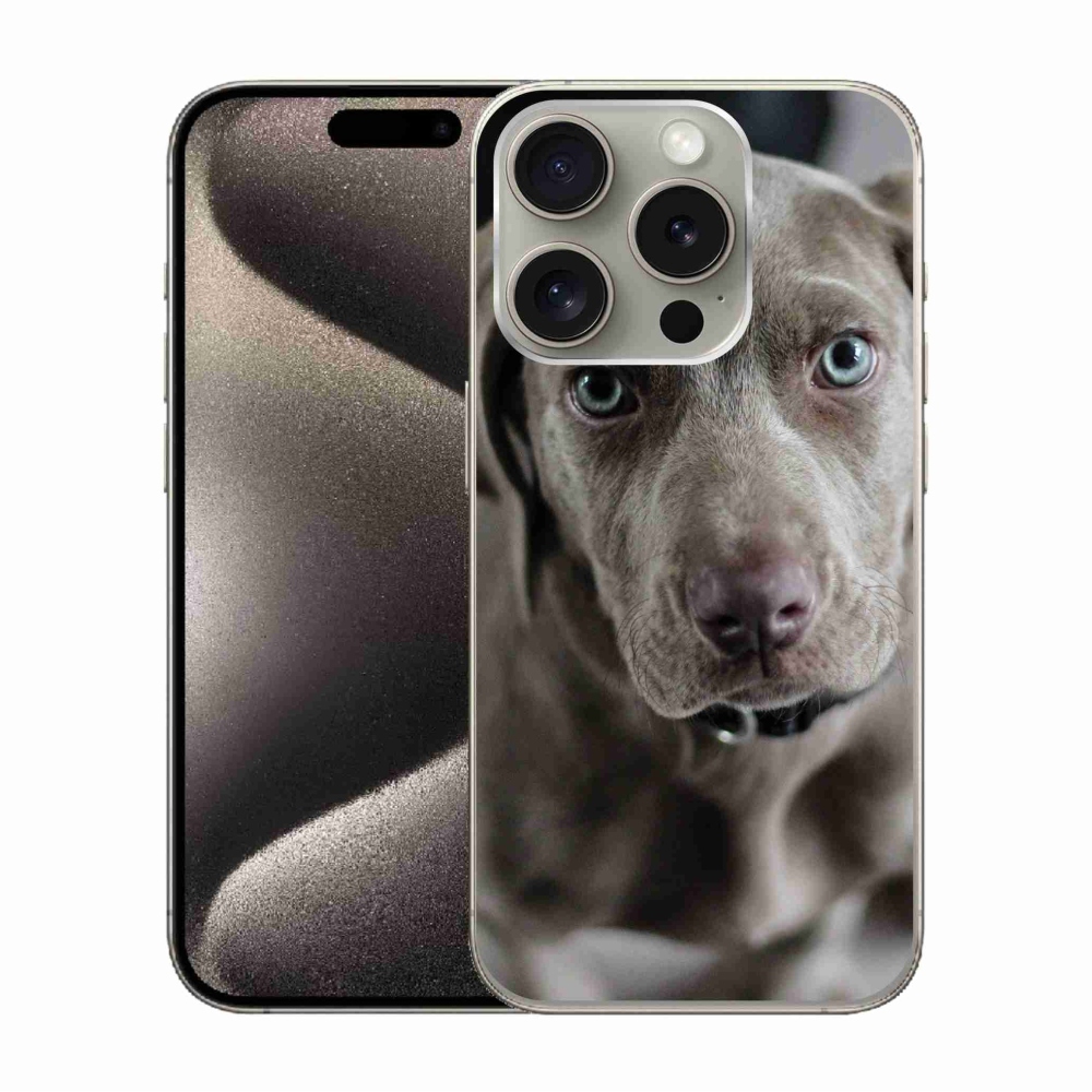 Gelový obal mmCase na iPhone 15 Pro - výmarský ohař