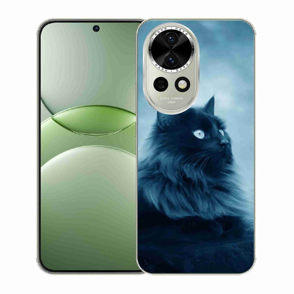 Gelový kryt mmCase na Huawei Nova 13 5G - černá kočka 1