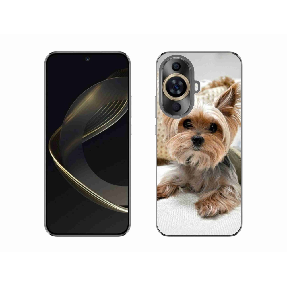 Gelový obal mmCase na Huawei Nova 11 - jorkšír 5