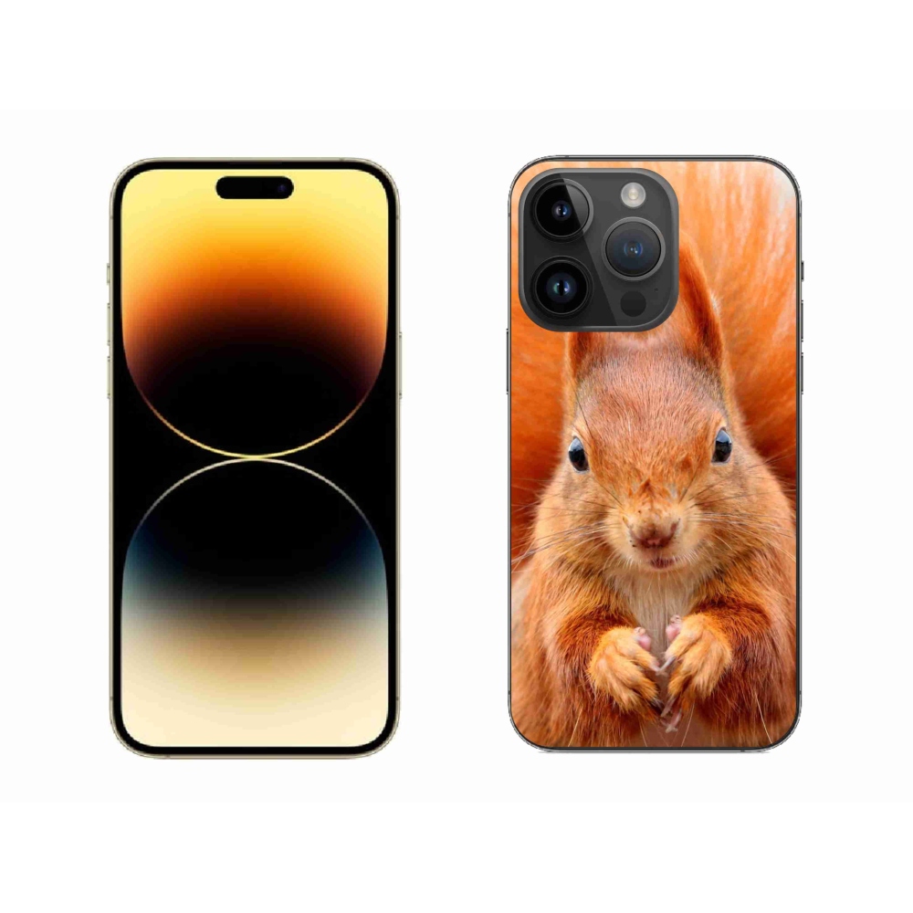 Gelový kryt mmCase na iPhone 14 Pro Max - veverka