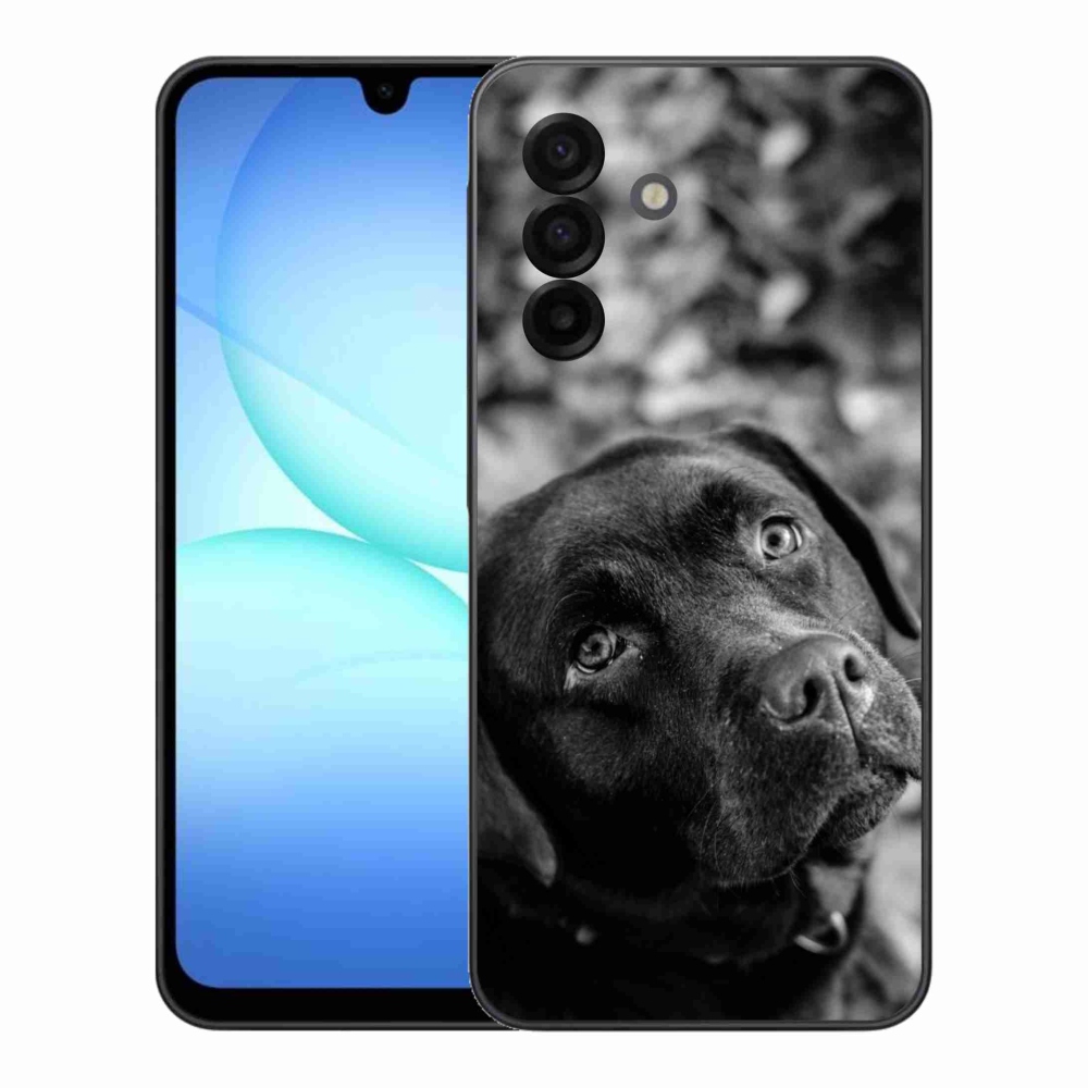 Gelový kryt mmCase na Samsung Galaxy A17 5G - labrador
