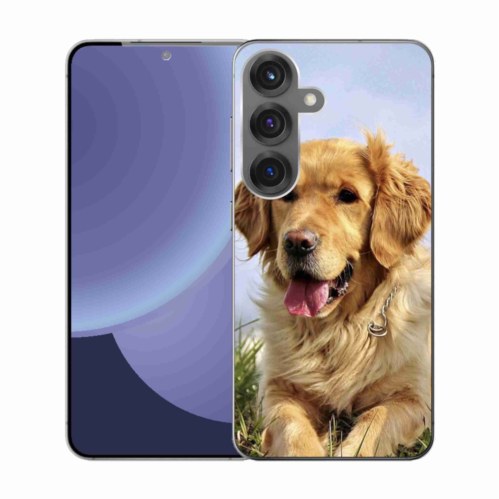 Gelový kryt mmCase na Samsung Galaxy S25 - zlatý retrívr