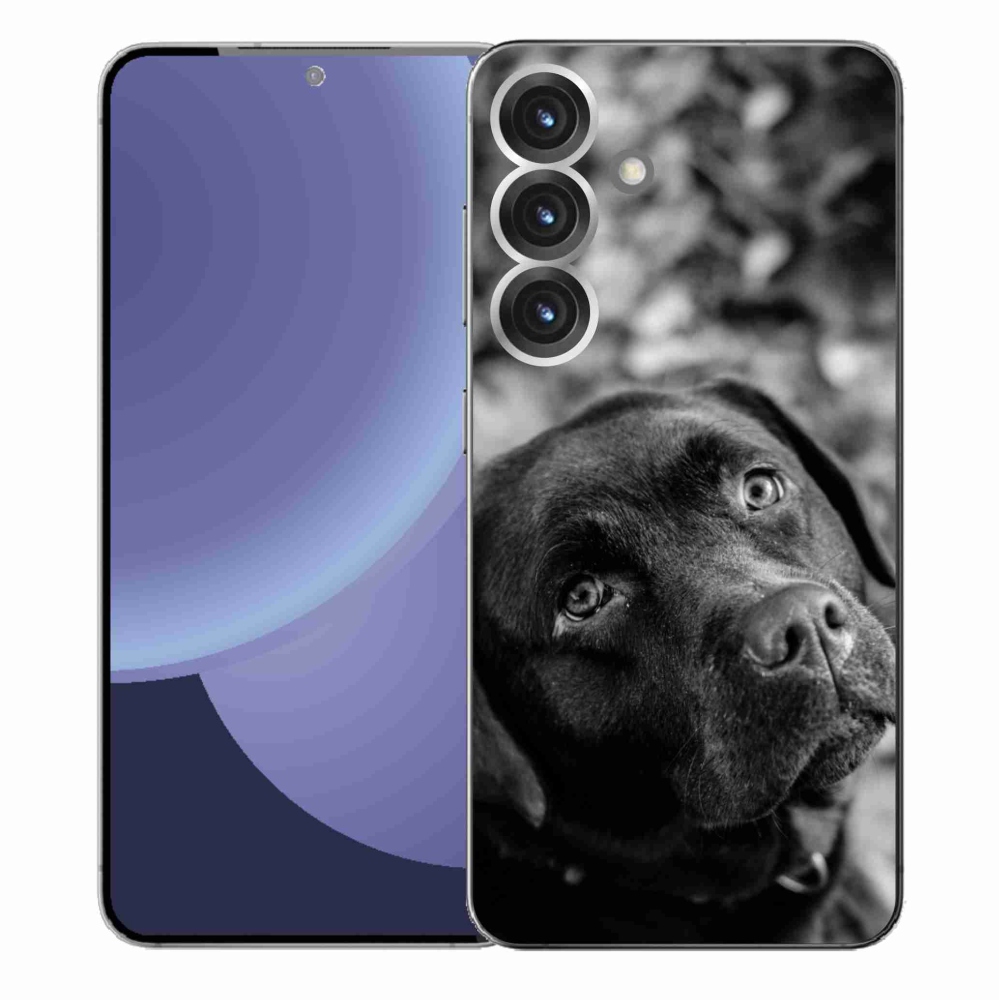 Gelový kryt mmCase na Samsung Galaxy S25+ - labrador