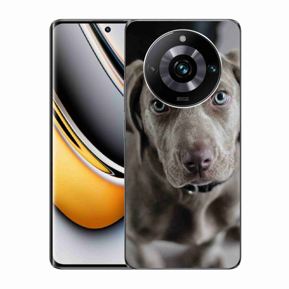 Gelový obal mmCase na Realme 11 Pro/11 Pro+ - výmarský ohař