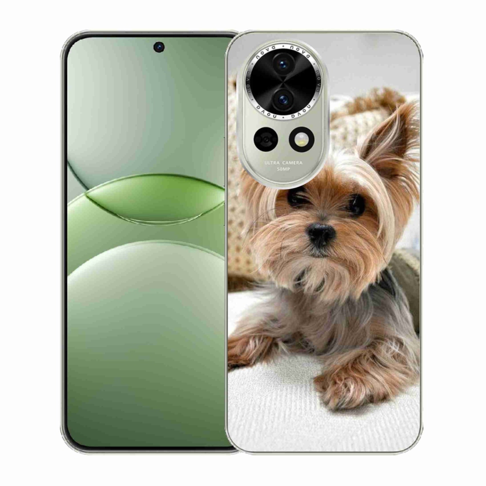 Gelový kryt mmCase na Huawei Nova 13 5G - jorkšír 5