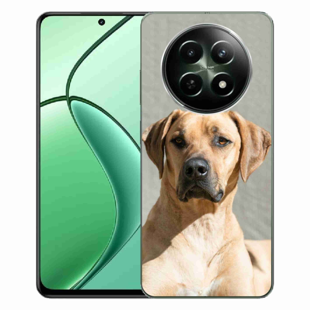 Gelový kryt mmCase na Realme 12 5G/12x 5G - ridgeback