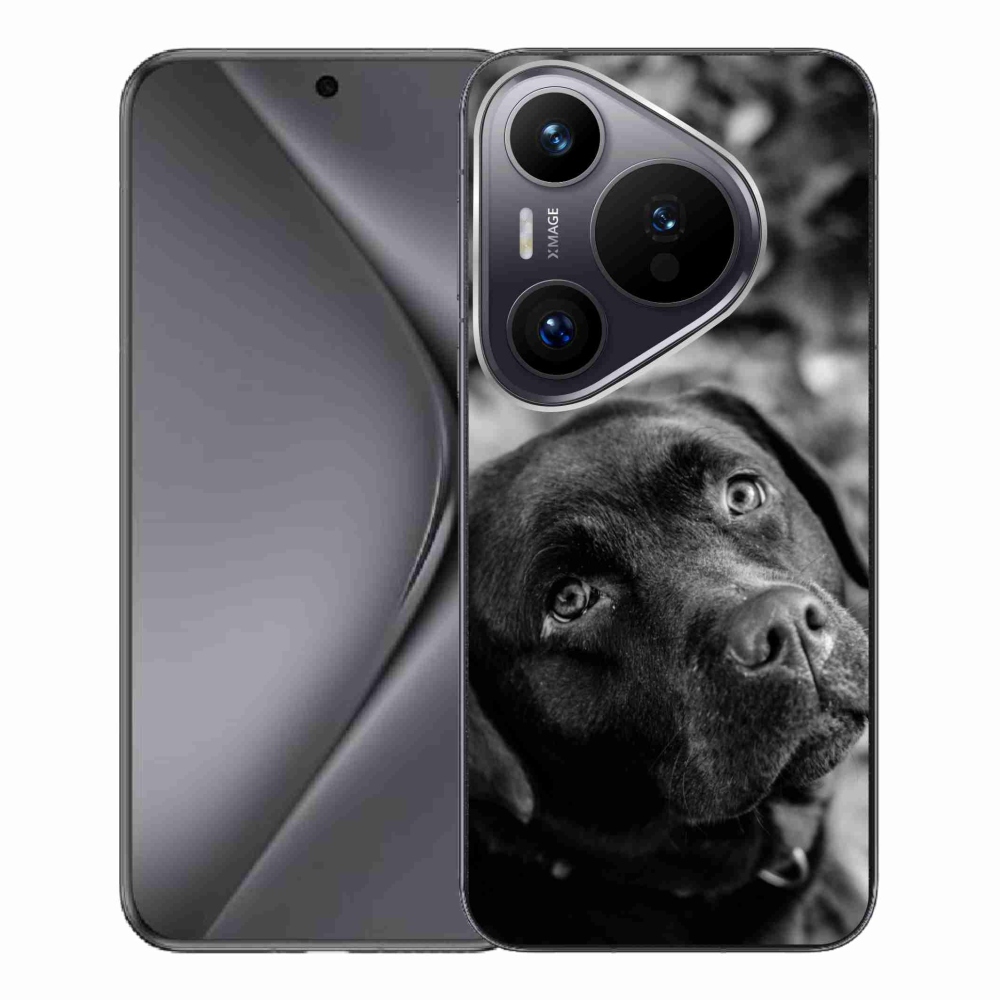 Gelový obal mmCase na Huawei Pura 70 Pro - labrador