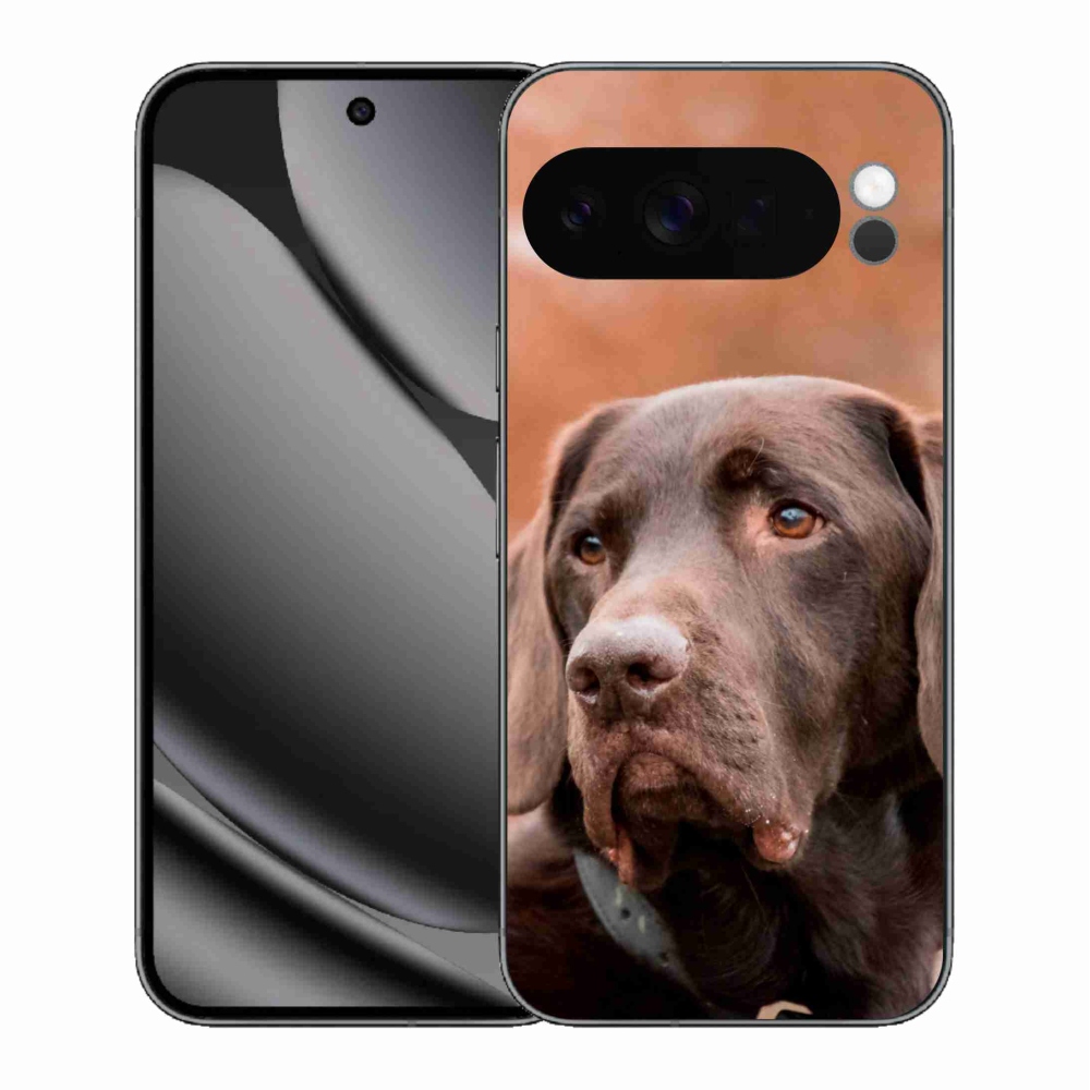 Gelový kryt mmCase na Google Pixel 10 Pro XL - hnědý labrador