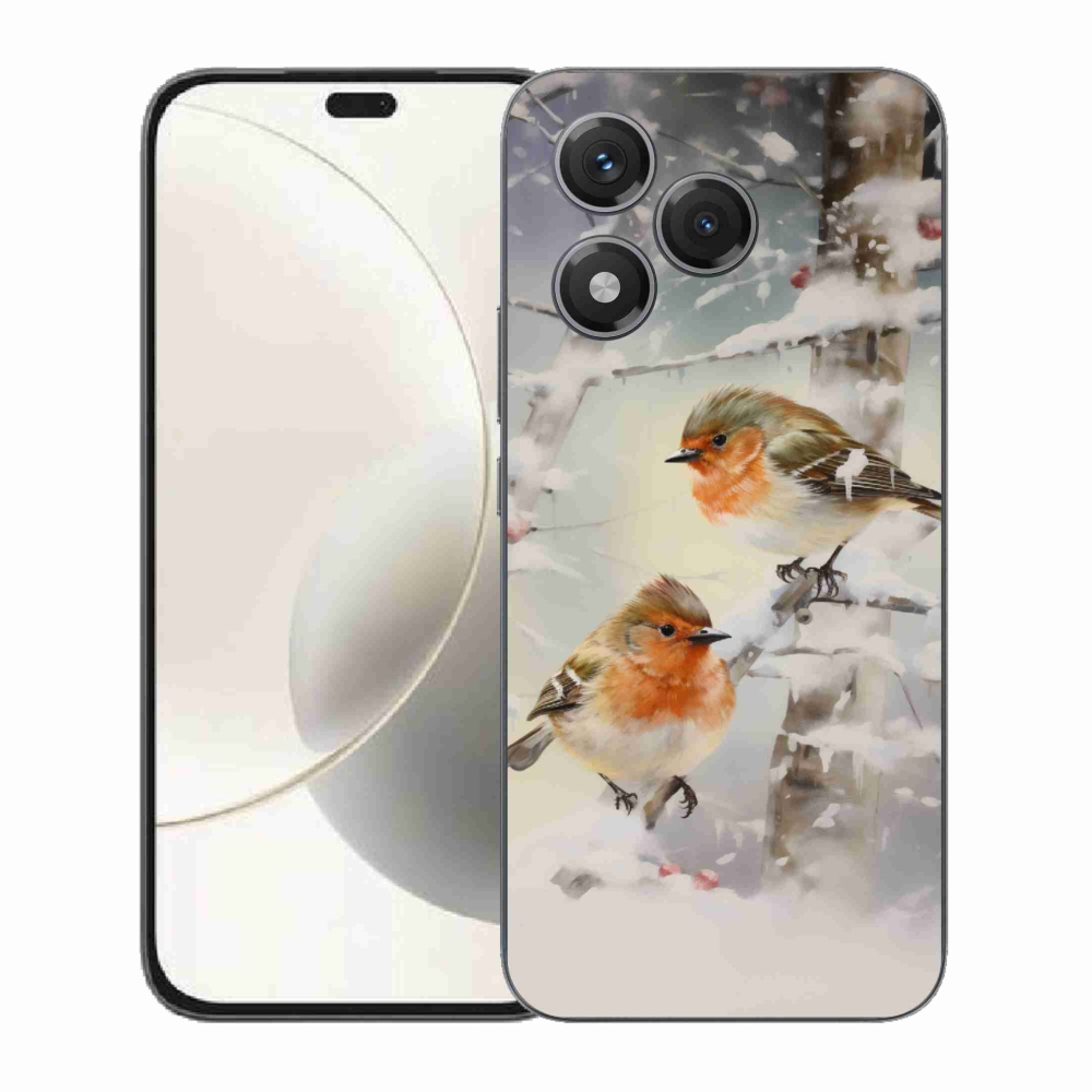 Gelový kryt mmCase na Honor 400 Lite - ptáčci v zimě
