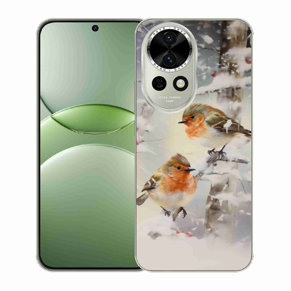 Gelový kryt mmCase na Huawei Nova 13 5G - ptáčci v zimě