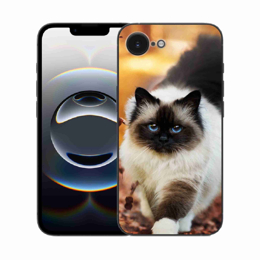 Gelový kryt mmCase na iPhone 16e - kočka