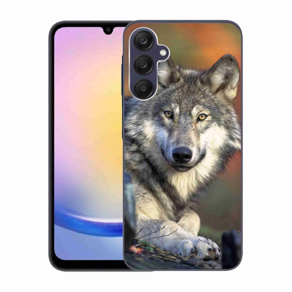 Gelový obal mmCase na Samsung Galaxy A25 5G - vlk