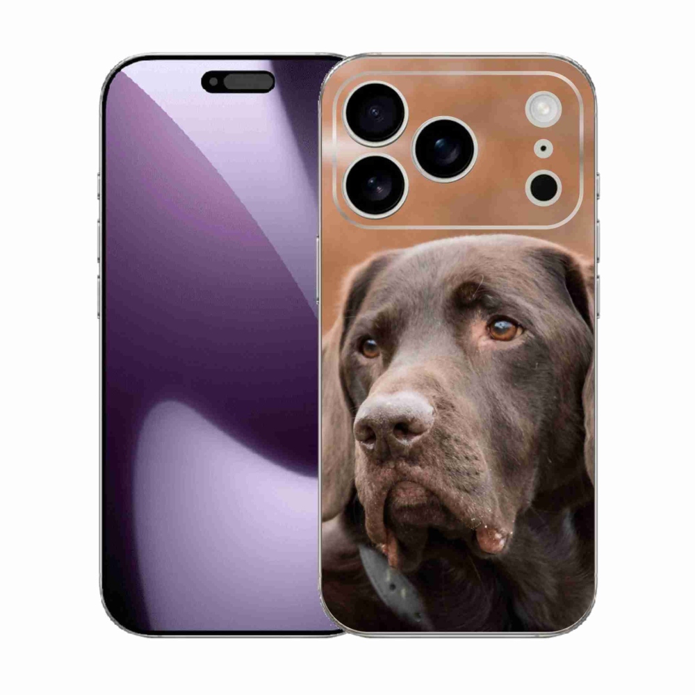 Gelový kryt mmCase na iPhone 17 Pro - hnědý labrador