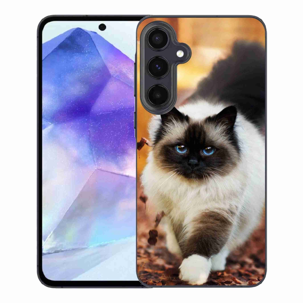 Gelový obal mmCase na Samsung Galaxy A55 5G - kočka