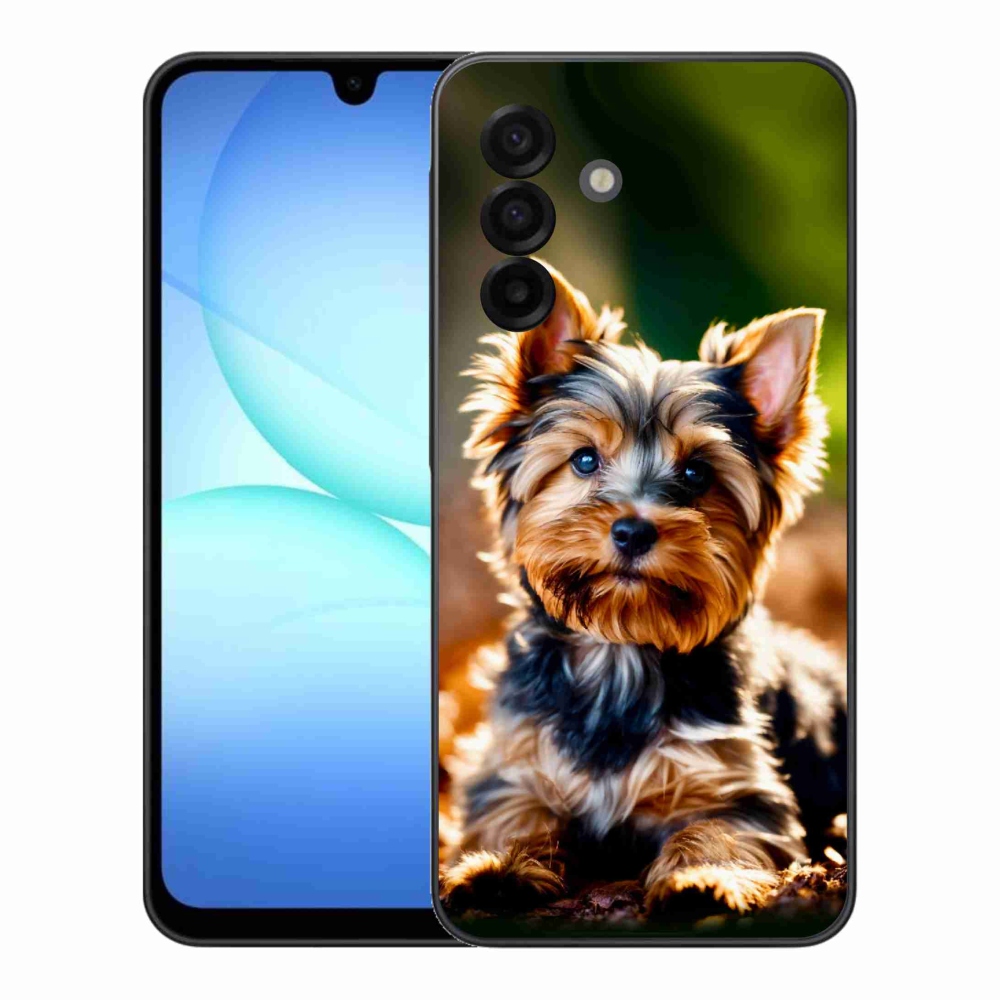 Gelový kryt mmCase na Samsung Galaxy A17 5G - jorkšír 10