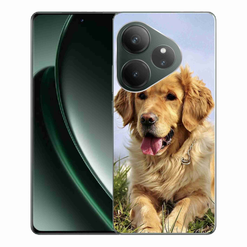 Gelový obal mmCase na Realme GT 6 5G/GT 6T 5G - zlatý retrívr