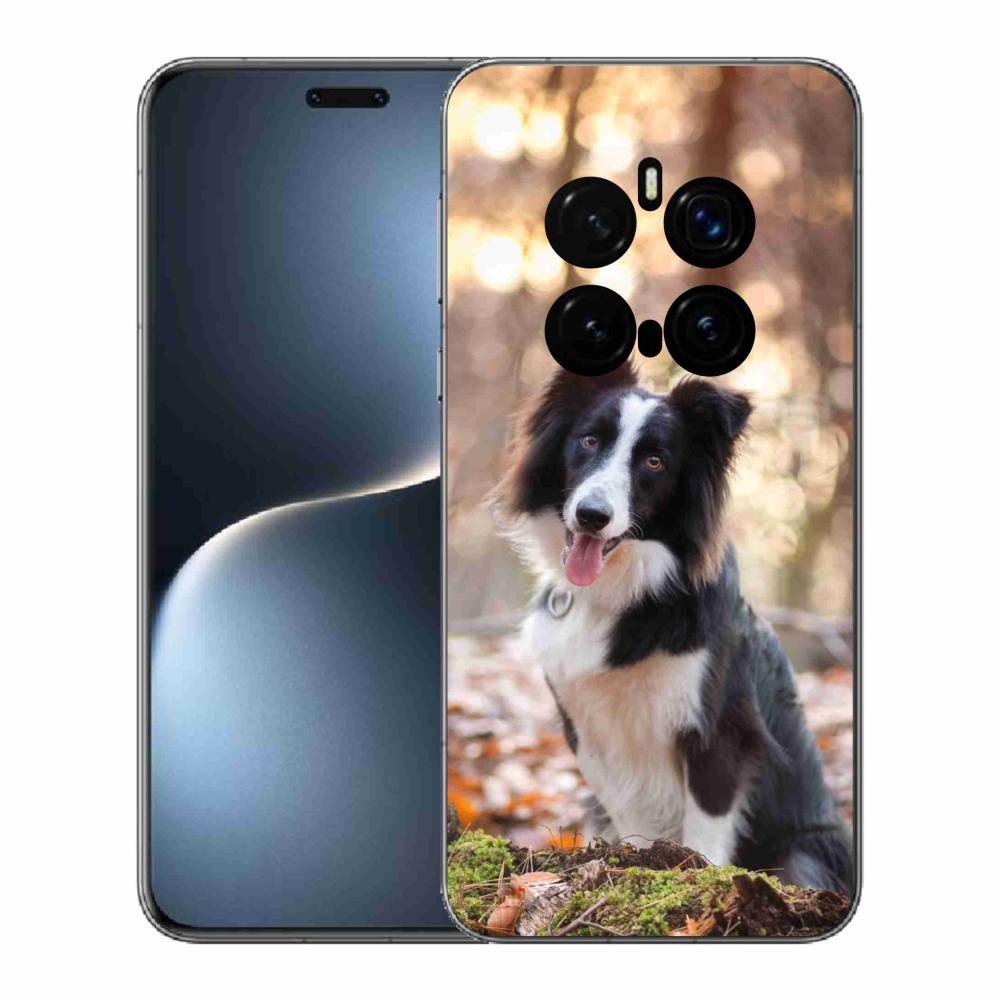 Gelový kryt mmCase na Honor Magic 7 Pro 5G - border kolie 1
